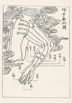 About_Meridians