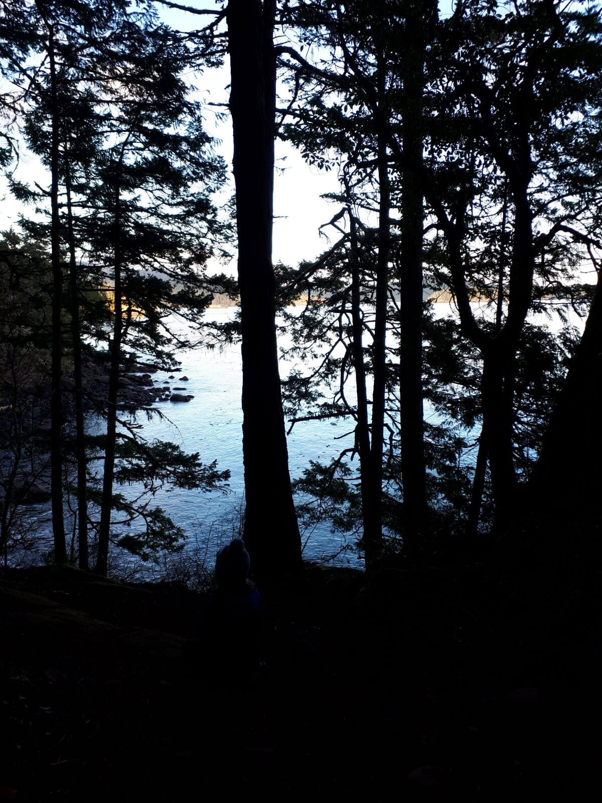 Coast at sunset qigong